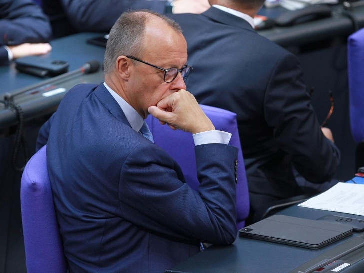 Friedrich Merz (Archiv)