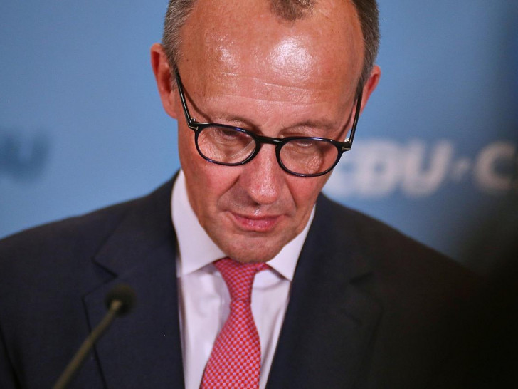 Friedrich Merz am 31.01.2025