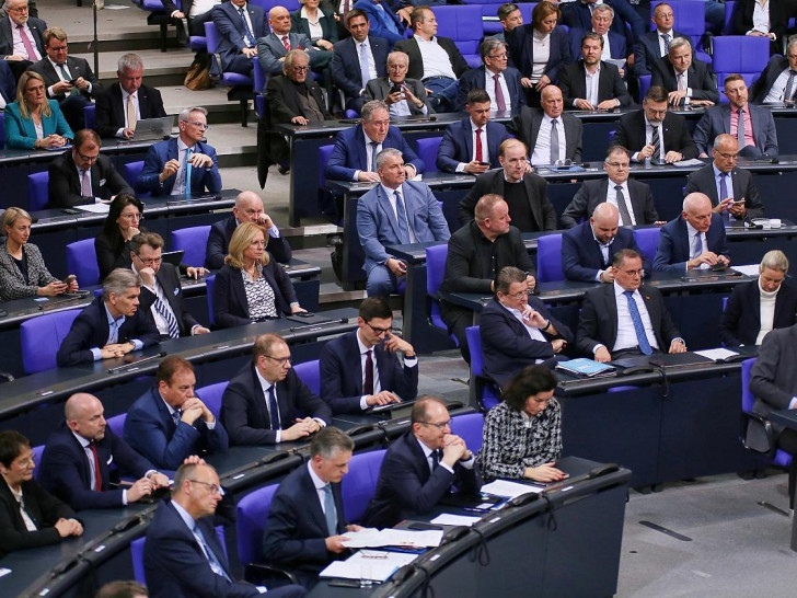 Fraktionen von CDU/CSU und AfD im Bundestag am 29.01.2025