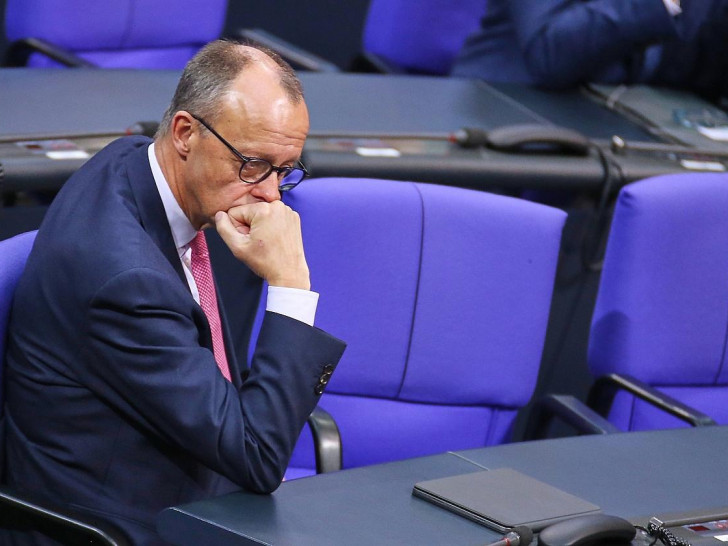 Friedrich Merz am 31.01.2025