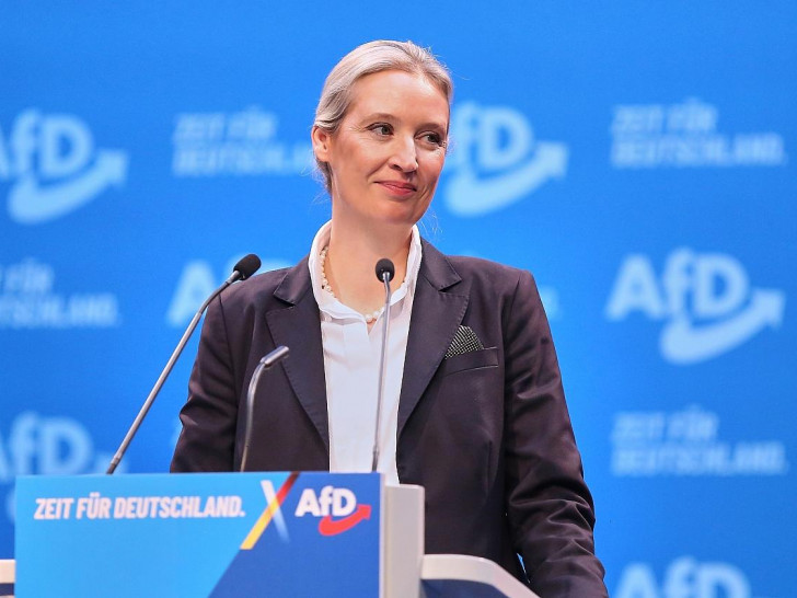 Alice Weidel (Archiv)