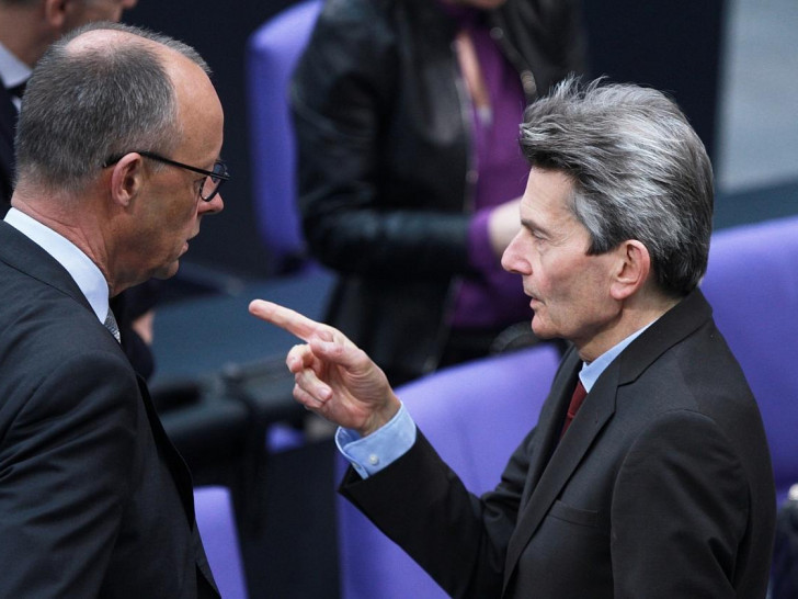 Rolf Mützenich und Friedrich Merz (Archiv)