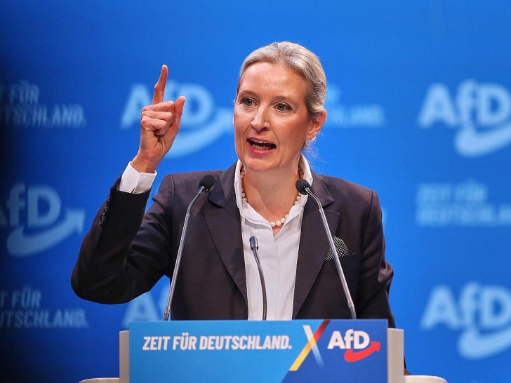 Alice Weidel (Archiv)