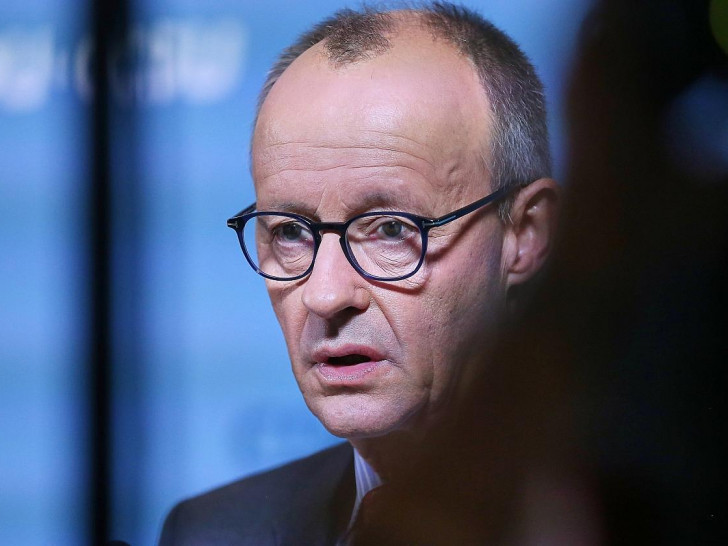 Friedrich Merz (Archiv)