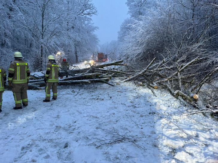 Bäume stürzten unter der schweren Schneelast um und mussten von der Feuerwehr geräumt werden.