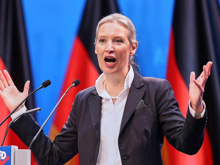 Alice Weidel (Archiv)