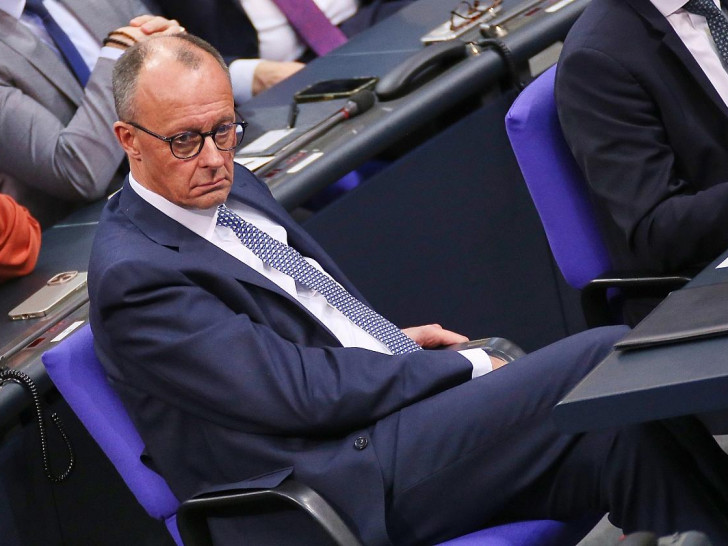 Friedrich Merz (Archiv)