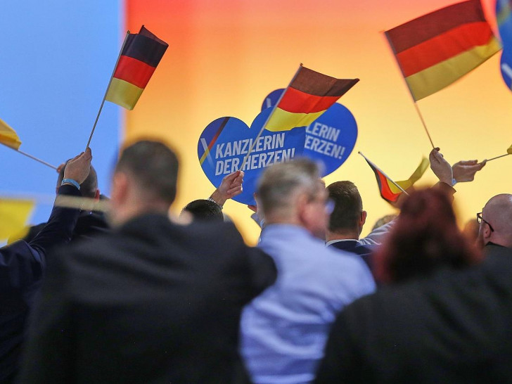 Deutschlandfahnen auf AfD-Parteitag (Archiv)