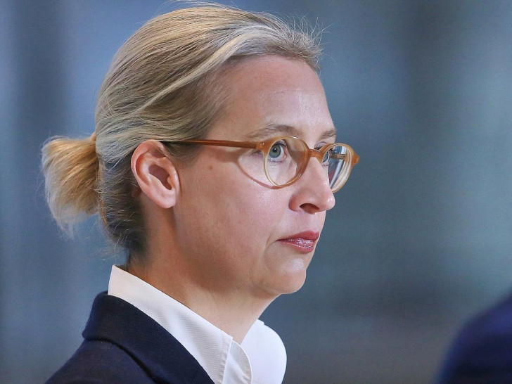 Alice Weidel (Archiv)