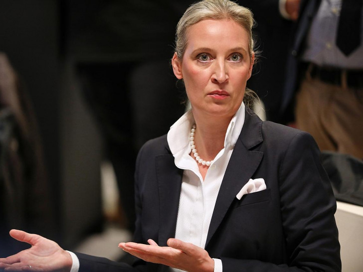 Alice Weidel (Archiv)