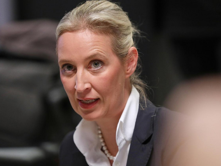 Alice Weidel (Archiv)