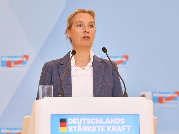 Alice Weidel am 14.10.2025