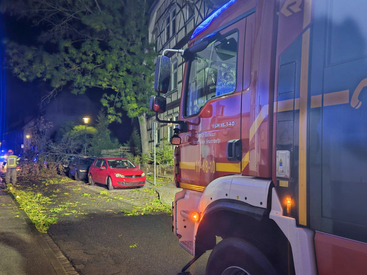 Ein Baum beschädigte die geparkten Autos.