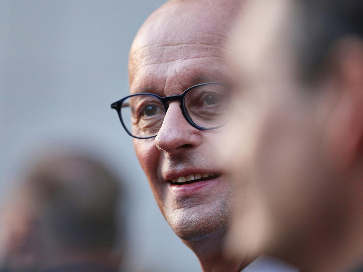 Friedrich Merz (Archiv)