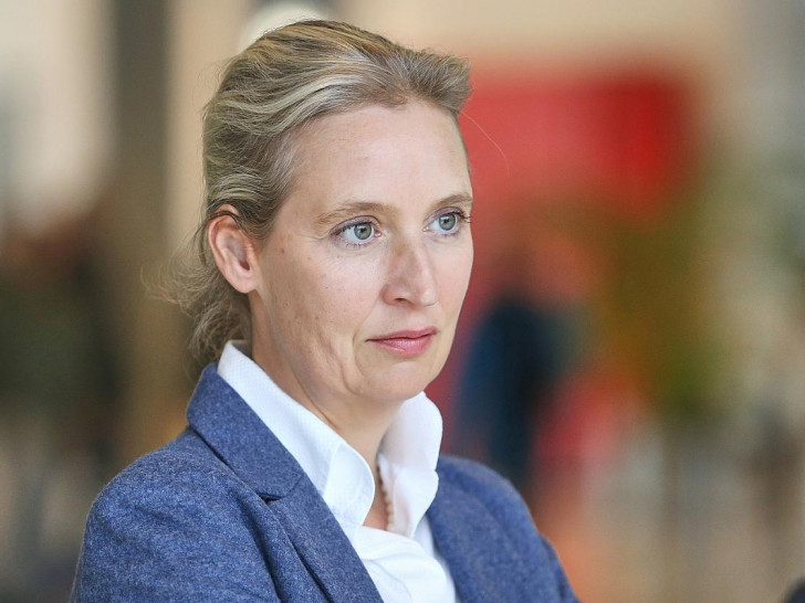 Alice Weidel (Archiv)