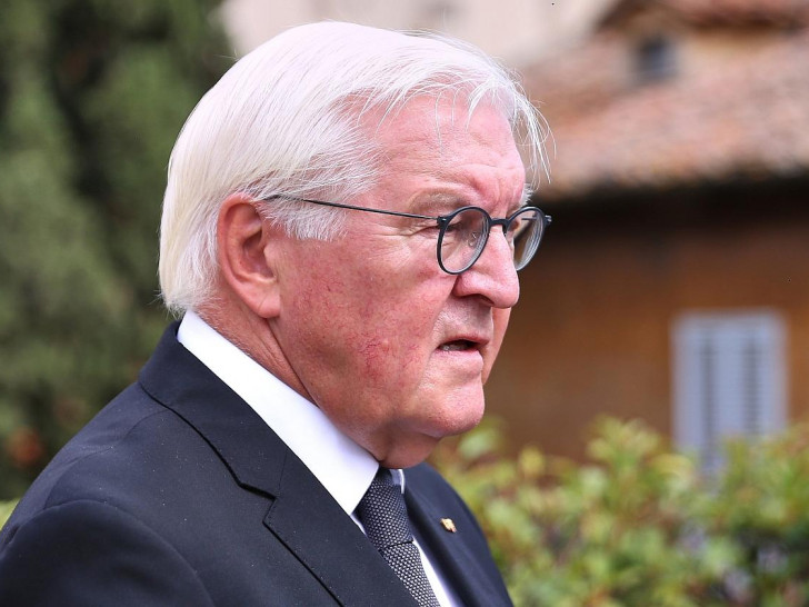 Frank-Walter Steinmeier (Archiv)
