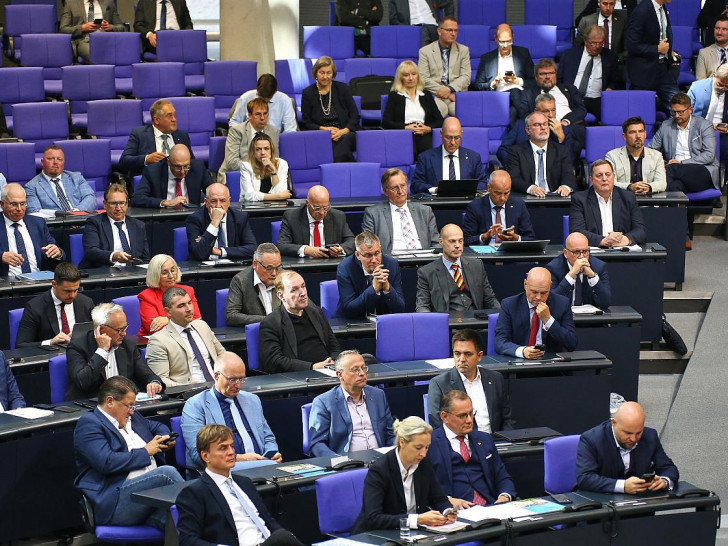 AfD-Bundestagsfraktion (Archiv)
