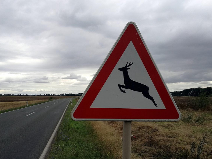Warnschild vor Wildwechsel (Archiv)