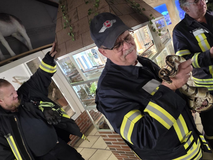 Die Feuerwehr nahm Kontakt mit den Schlangen auf.