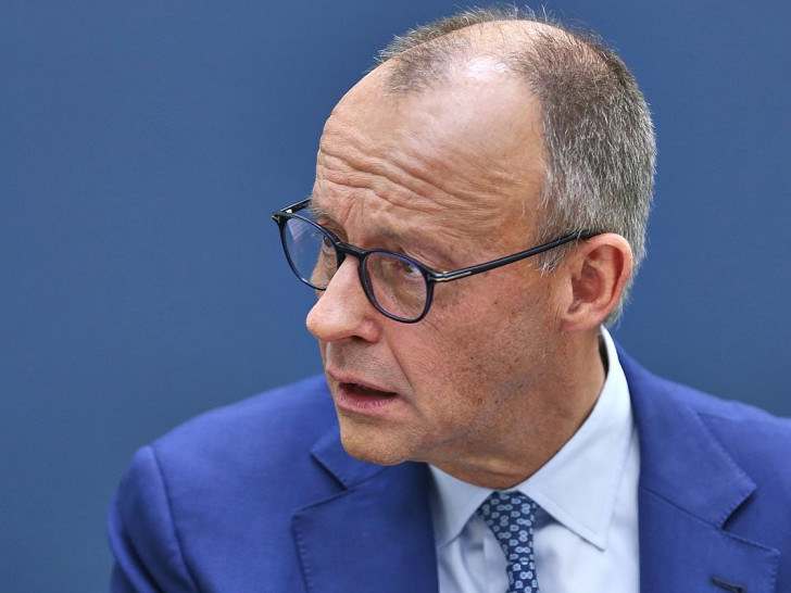 Friedrich Merz (Archiv)