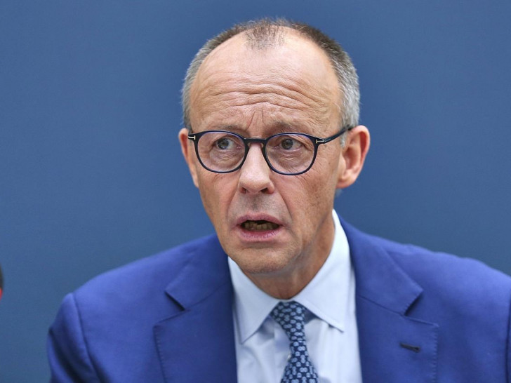 Friedrich Merz (Archiv)