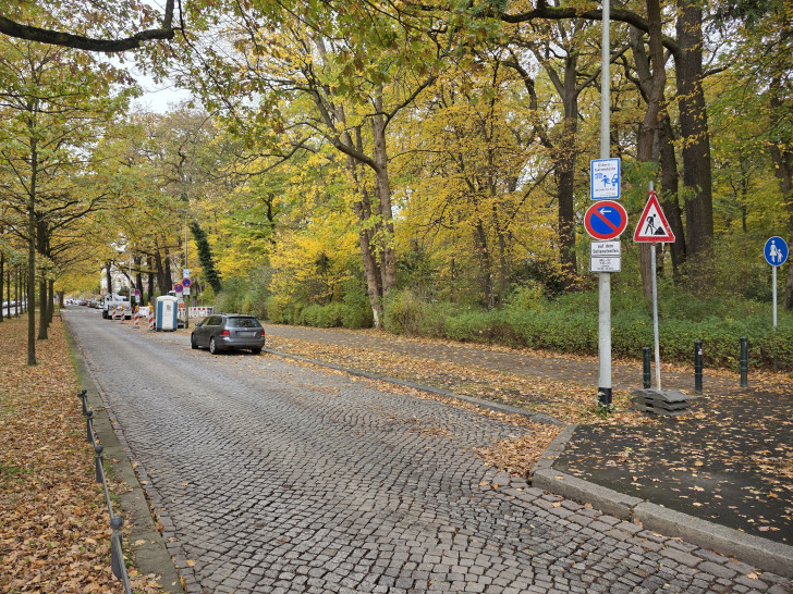 Die Elternhaltestelle in der Jasperallee. Auch außerhalb der Verbotszeit an einem Mittwochvormittag wurden die Parkplätze kaum genutzt.