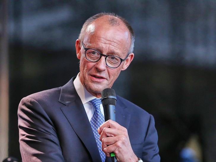 Friedrich Merz (Archiv)
