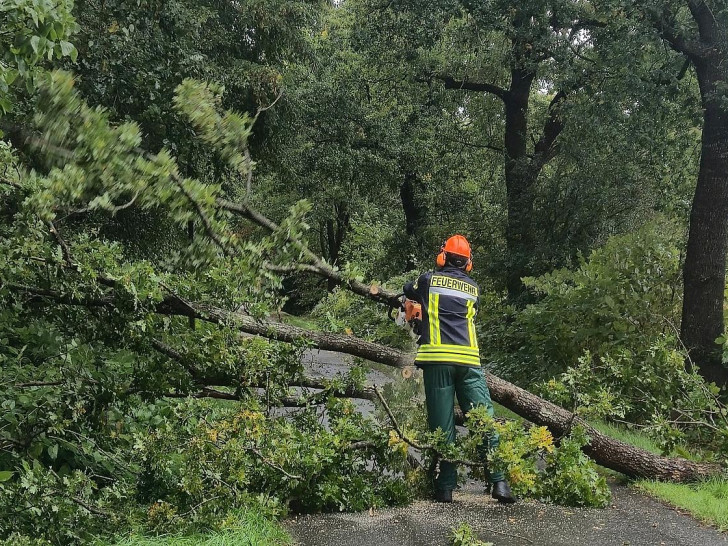 Baum blockiert Straße in Aurich-Wiesens (Archiv)