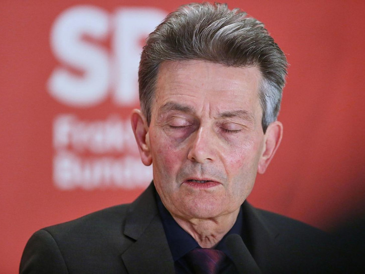 Rolf Mützenich (Archiv)