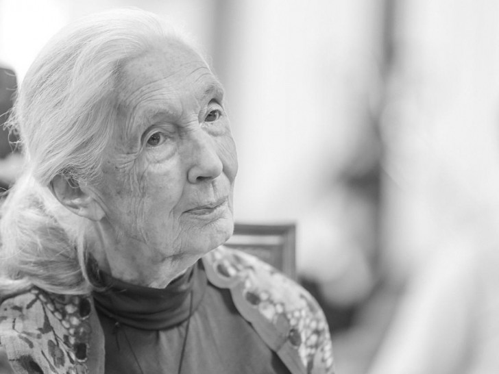 Jane Goodall in Malaga