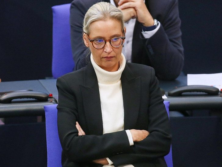 Alice Weidel (Archiv)