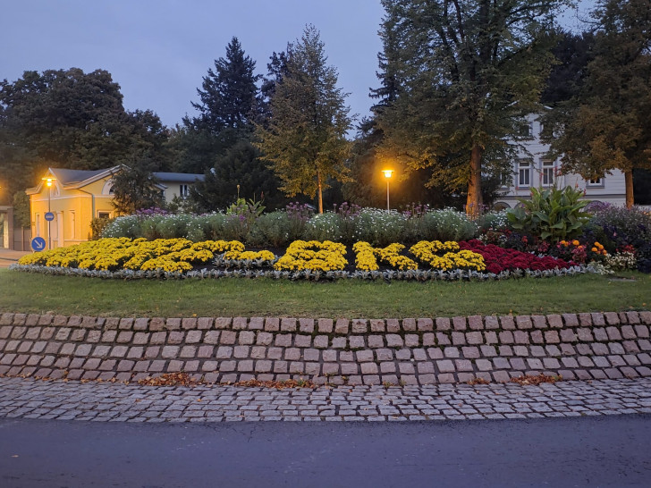 Was will die Stadt mit der Blumenbeschriftung sagen? 