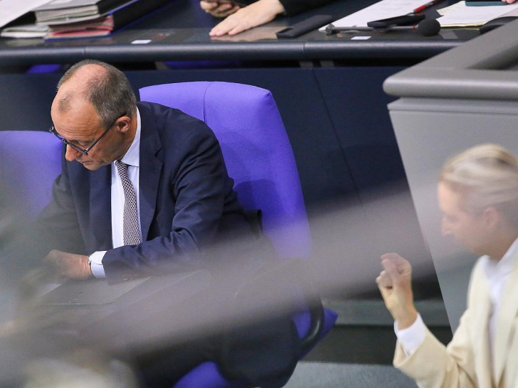 Friedrich Merz und Alice Weidel (Archiv)