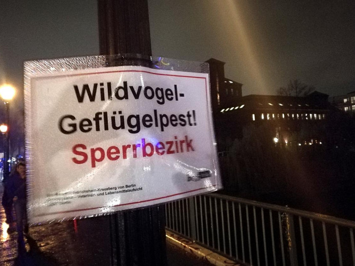 Warnschild vor Geflügelpest in Berlin (Archiv)