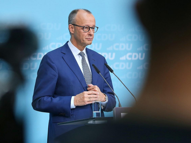 Friedrich Merz (Archiv)