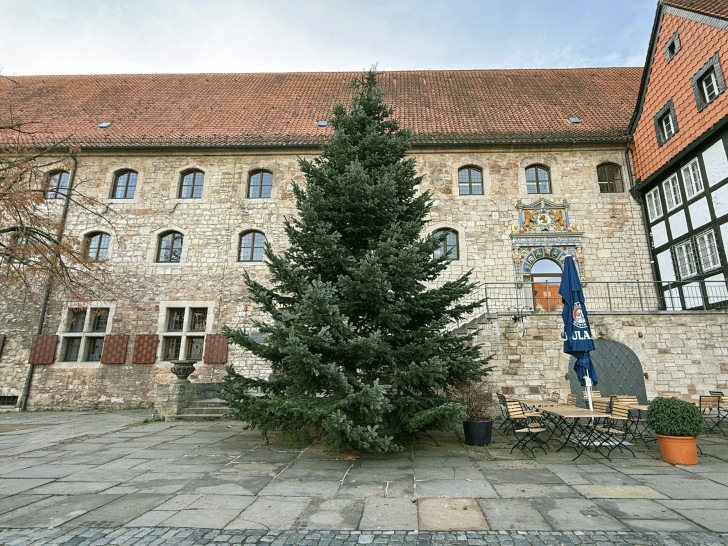  Auf dem Domplatz und dem Altstadtmarkt stehen zwei große Nordmanntannen als Vorboten auf die besinnliche Adventszeit in der Löwenstadt.