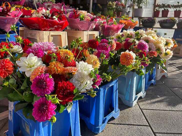 Blumen in einem Blumenladen (Archiv)
