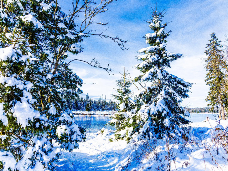 So eine traumhafte Winterlandschaft - wie hier am vergangenen Wochenende am Oderteich im Harz - wünschen sich viele auch zu Weihnachten.