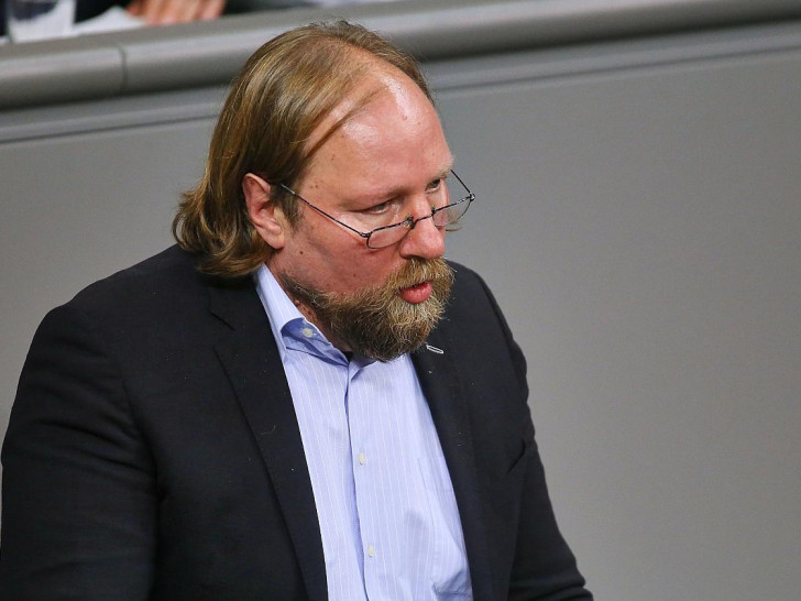 Anton Hofreiter (Archiv)