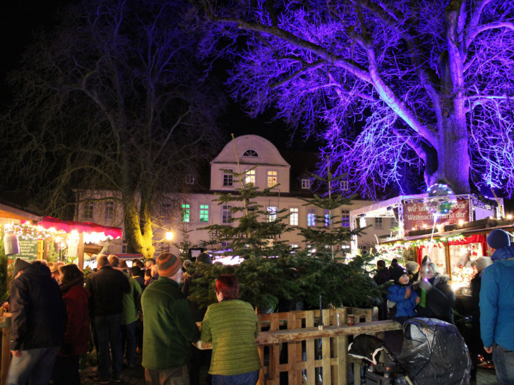Weihnachtsmarkt auf dem Burgplatz in Schöningen.