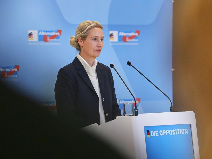 Alice Weidel am 24.11.2025
