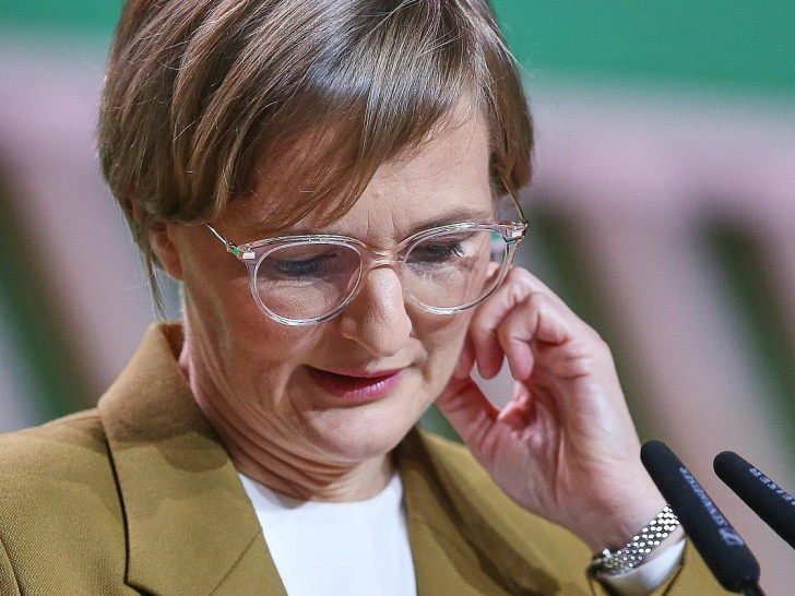 Franziska Brantner (Archiv)