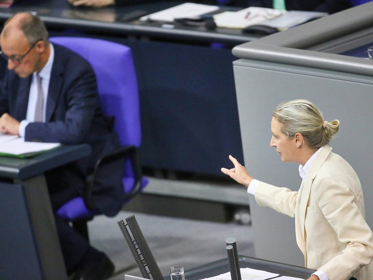 Friedrich Merz und Alice Weidel (Archiv)