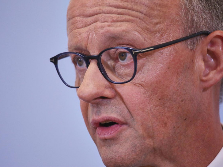 Friedrich Merz (Archiv)