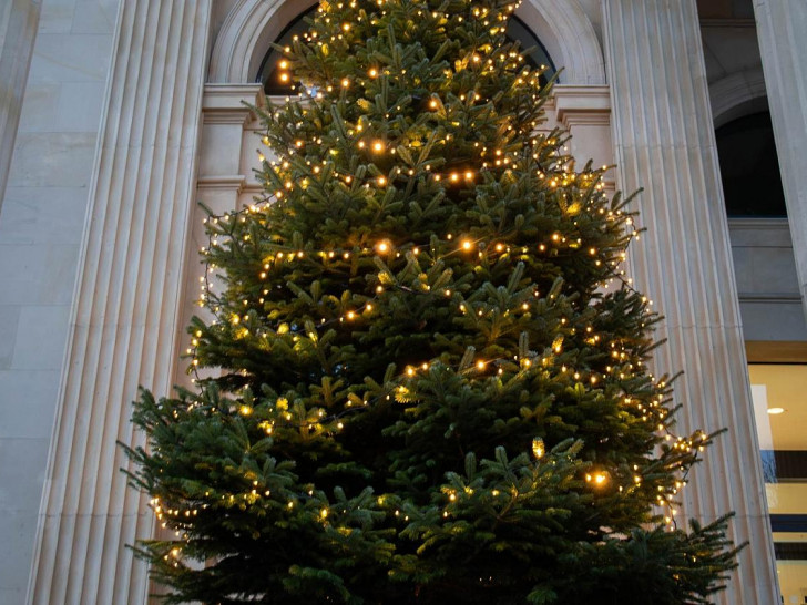 Es weihnachtet im Niedersächsischen Landtag am 28.11.2025