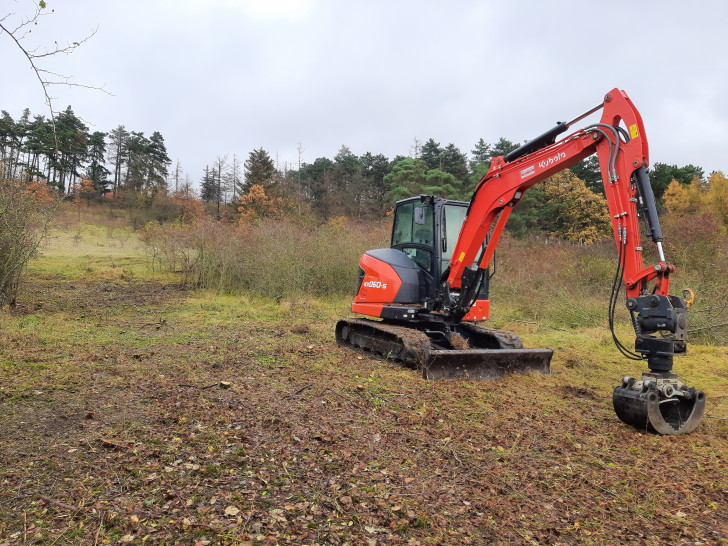 Bereits im letzten Jahr wurden hier Pflegearbeiten durchgeführt.