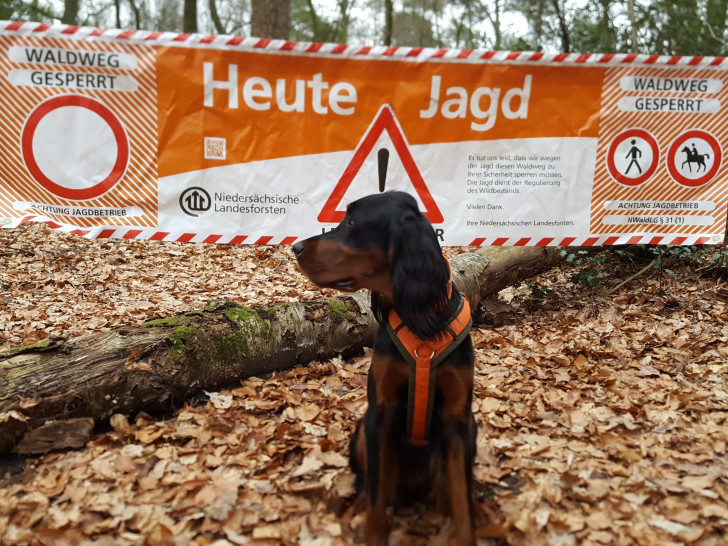 Im Elm findet am Wochenende eine Jagd statt.