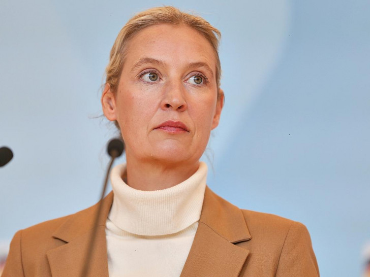 Alice Weidel (Archiv)