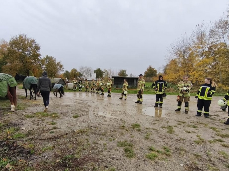 Anhand einer Menschenkette wurden die Pferde kontrolliert in eine Richtung geleitet.