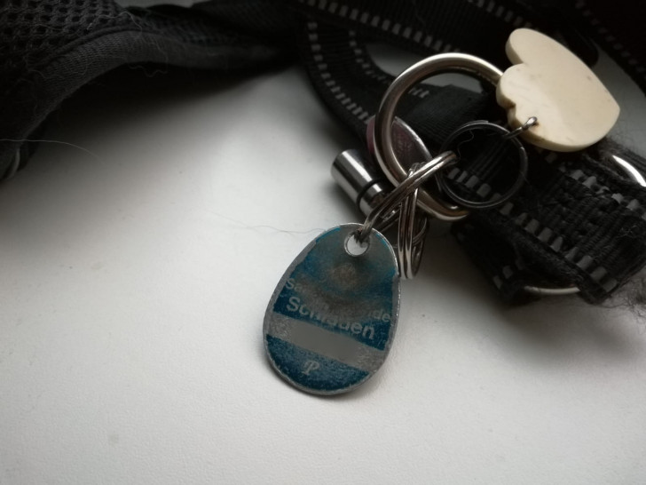 Die Gemeinde Schladen-Werla will die Hundemarke abschaffen.